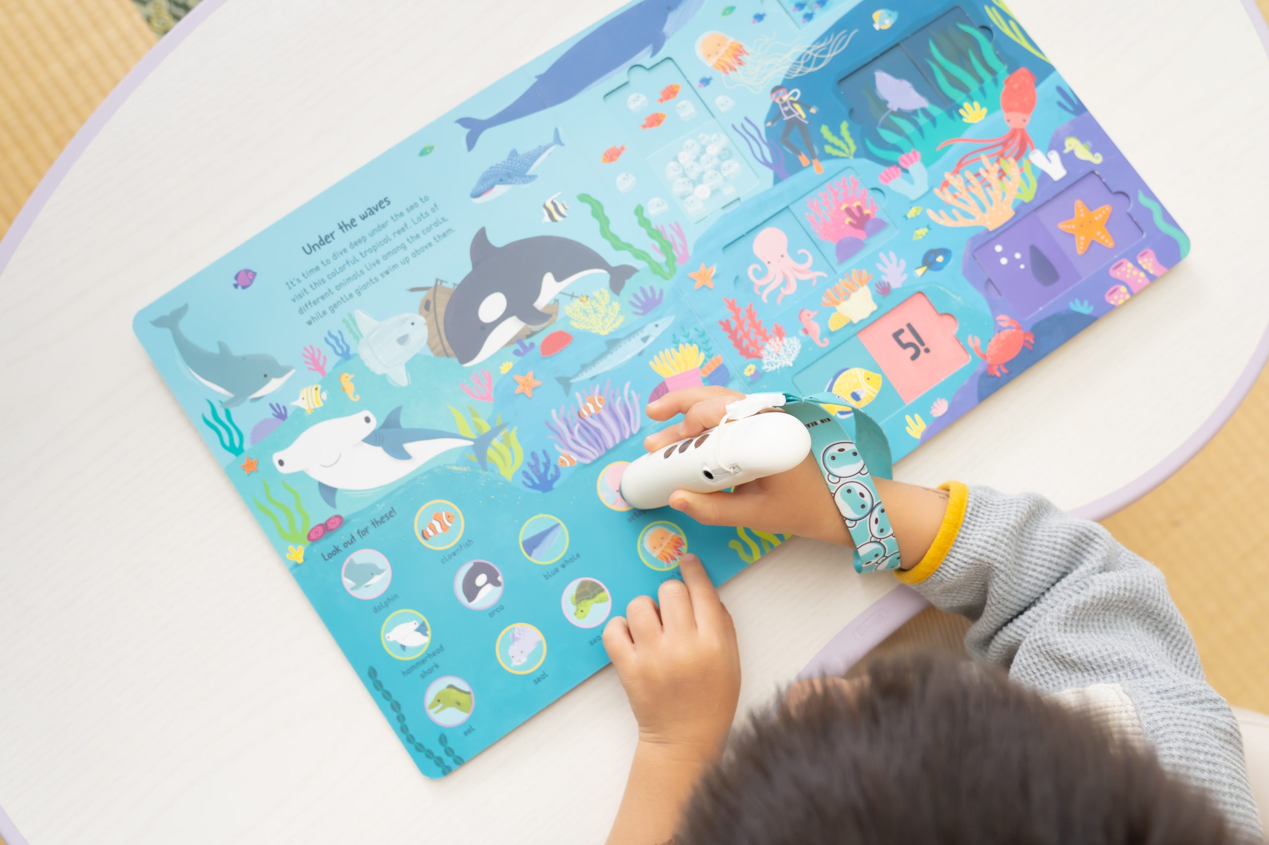 【KidsRead點讀筆x茜茜｜同步提升專注力｜幼兒英文篇。互動學習系列】+小小職人遊戲屋