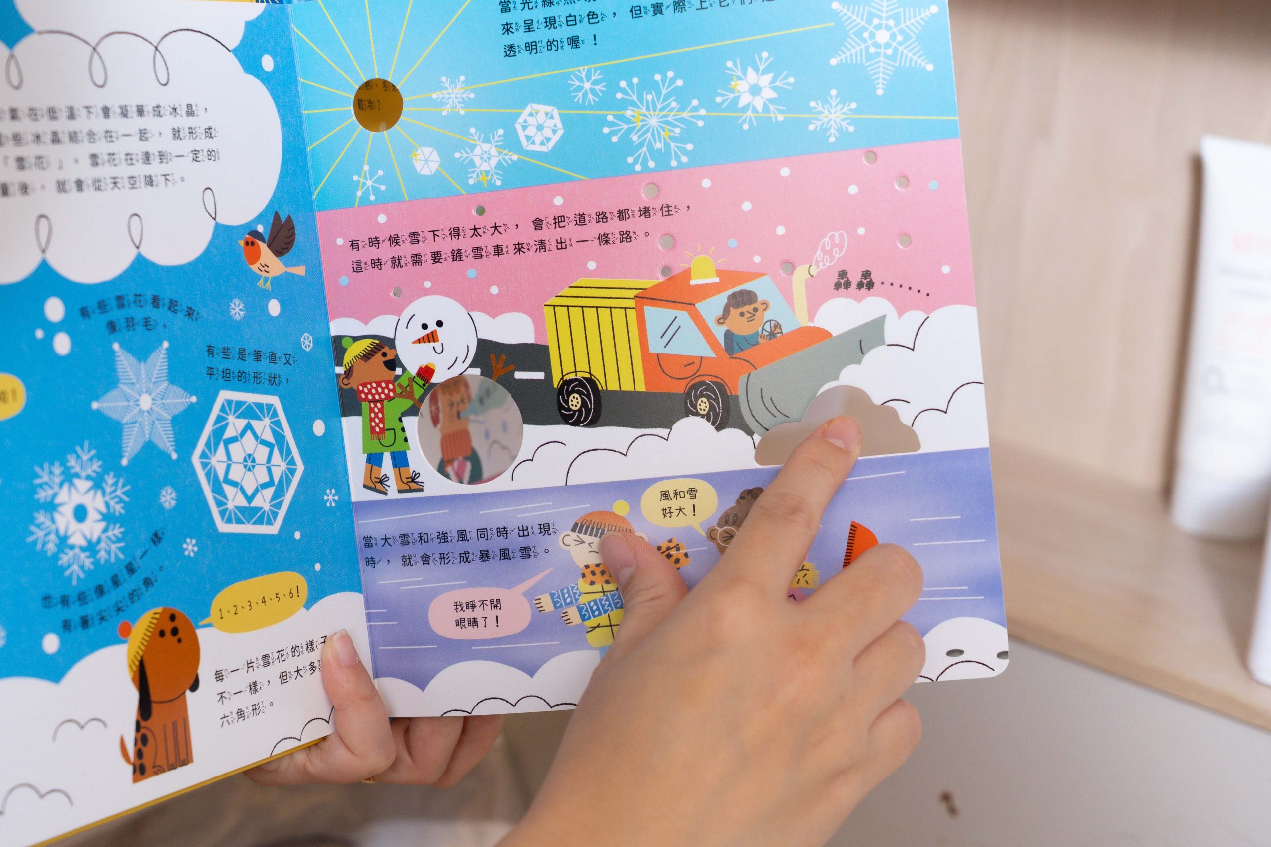 禾流文創童書團購【茜茜推薦｜2-6歲+ 幼童探索篇(上)｜身體安全。科普知識】2026上半年度最大團。獨家新書